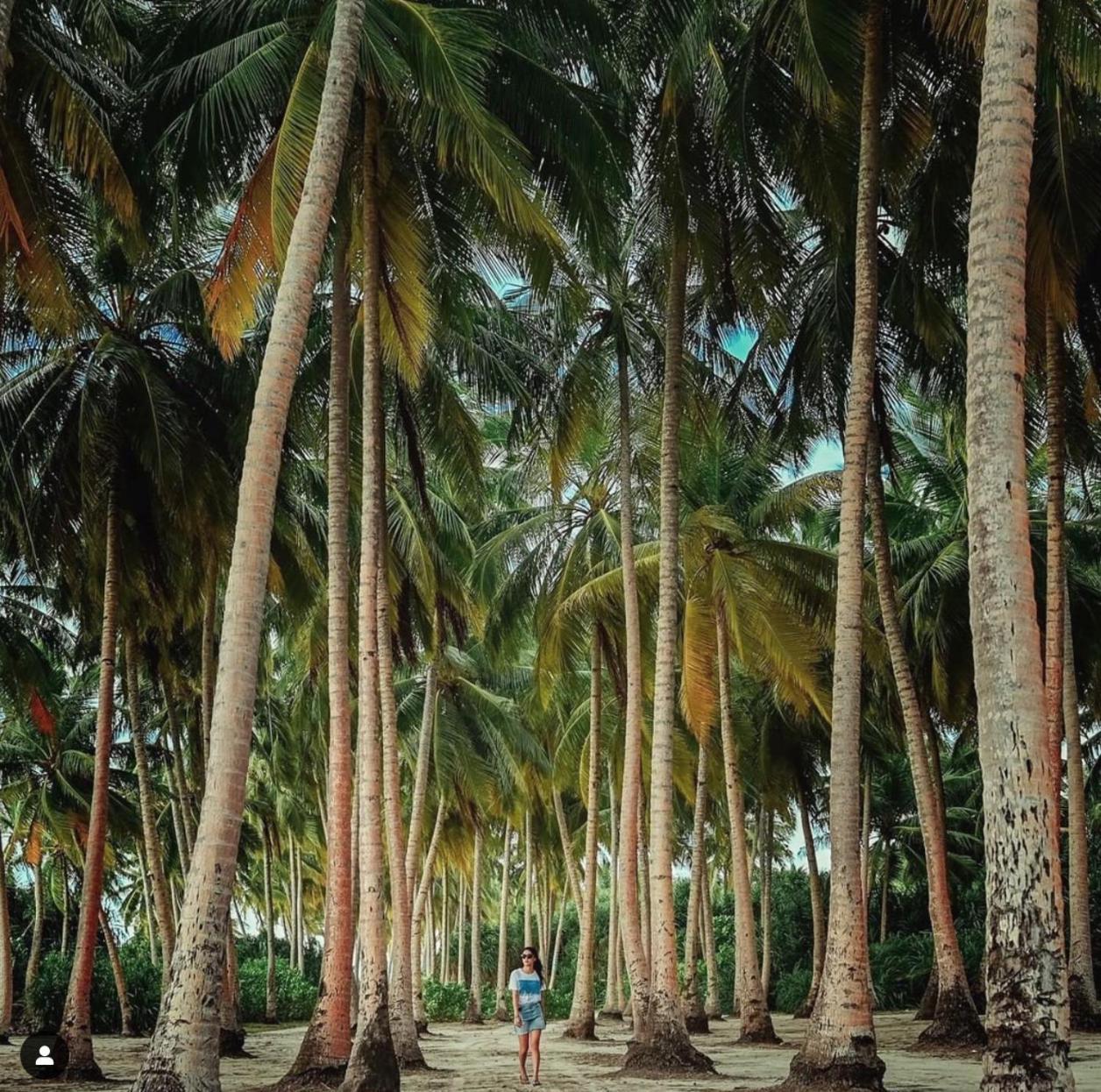 Suffix Retreat - Stay, Dive & Explore Fuvahmulah Exterior photo