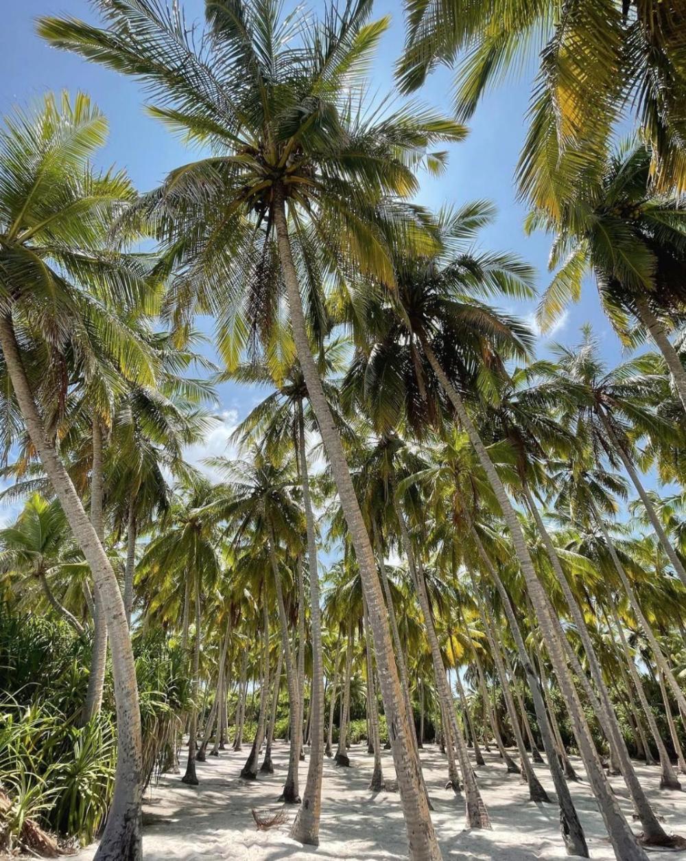 Suffix Retreat - Stay, Dive & Explore Fuvahmulah Exterior photo